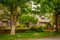 USA neighborhood upscale homes with large trees and american flags decoration curb by street