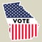 USA presidential election 2016 vote sticker.