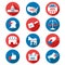 USA Presidential Election Icons