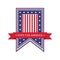 USA vote pennant. Vector illustration decorative design
