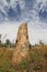 USA, Wyoming: Petrified Redwood in Yellowstone NP