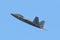 USAF Lockheed Martin F-22 Raptor flying for display
