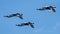 USAF Thunderbirds flying upside down in diamond formation