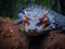 Usambara horned viper Atheris ceratophora