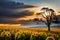 Use this lovely natural backdrop of a sunflower field and a dry tree limb against a vibrant gloomy sky in the twilight