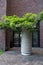 Use of old industrial facilities as planter for trees and plants in urban landscaping. Urban jungle