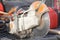 Used Asphalt Cutter Tool