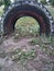 Used automobile tyre dug into ground