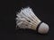 Used badminton shuttlecocks are made of feathers on a black background, shuttlecocks are made of goose feathers arranged in a cone