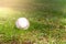 Used baseball laying on green grass on baseball field.