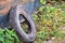 Used car tire left in nature. Old used car tyre left tossed by cost of water.