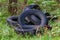 Used car tires discarded in the wood - nature pollution with consumer waste