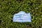 Used face surgical mask dumped on the grass during the Covid-19 pandemic.