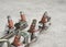 Used fuel injectors