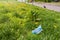 A used medical mask lies on the green grass in the city. A discarded protective mask during the coronavirus period