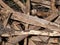 Used wood processing residue europe