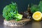 Useful foods are on the table, broccoli on a wooden stand and sliced lemon.