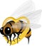 Useful insect flying bee with yellow heart