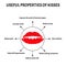 Useful properties of kisses. World Kissing Day. Infographics. Vector illustration