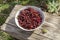 Useful, red, ripe dogrose lies in a bowl on a bench close-up