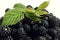 Useful vitamin berry: ripe blackberry, green raspberry leaf, close-up, light background, space for text