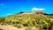 Usery Mountain Regional Park with is many Saguaro and Cholla Cacti under blue sky