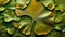 ush Ginkgo Biloba Leaves Overlapping on Vibrant Green Background