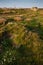 Ushant island meadow landscape