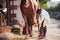 Using bandage to heal the leg. Female vet examining horse outdoors at the farm at daytime