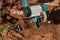 Using an electric farmer\\\'s cultivator to plow the soil. The tiller cuts into the soil and loosens it.