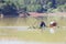 Using lift nets to catch fish on Tuyen Lam lake