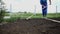 Using the rake to prepare the field surface for sowing of the vegetables