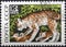 USSR - CIRCA 1969: Postage stamp 'Lynx' printed in USSR. Series: 'Bialowieza Forest' by artist V