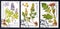USSR - CIRCA 1985: a series of stamps printed in USSR, shows herbs, CIRCA 1985