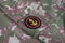 USSR military uniform - Soviet Army Marines shoulder patch