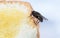 The usual black insect fly sits and eats food: watermelon, bread, honey, pie