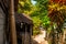 The usual local rural house in Apo island, Philippines