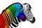 Usual & rainbow color zebra white background isolated, individuality concept, stand out from crowd, think different, creative idea