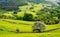 Usual rural England landscape in Yorkshire