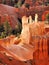 Utah, Bryce Canyon, Spectacular Detail View