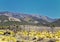 Utah Rocky Mountain Wasatch Panoramic Landscapes by Fishlake National Forest, along Interstate 15 I-15, through Holden, Fillmore,