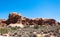 Utah, USA. Desiccated tree and desert landscape