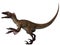 Utahraptor