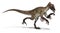 Utahraptor Dinosaur