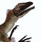 Utahraptor Dinosaur Head