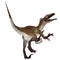 Utahraptor Dinosaur Tail