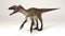 Utahraptor feathers-Dinosaur