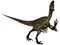 Utahraptor ostrommayorum-3D Dinosaur