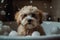 ?ute fluffy bobtail puppy takes a bath filled with foam, a kawaii dog with fluffy fur sits in a bathtub