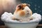 Ð¡ute fluffy guinea pig or hamster takes a bath filled with foam, a kawaii hamster with fluffy fur sits in a bathtub. looking at